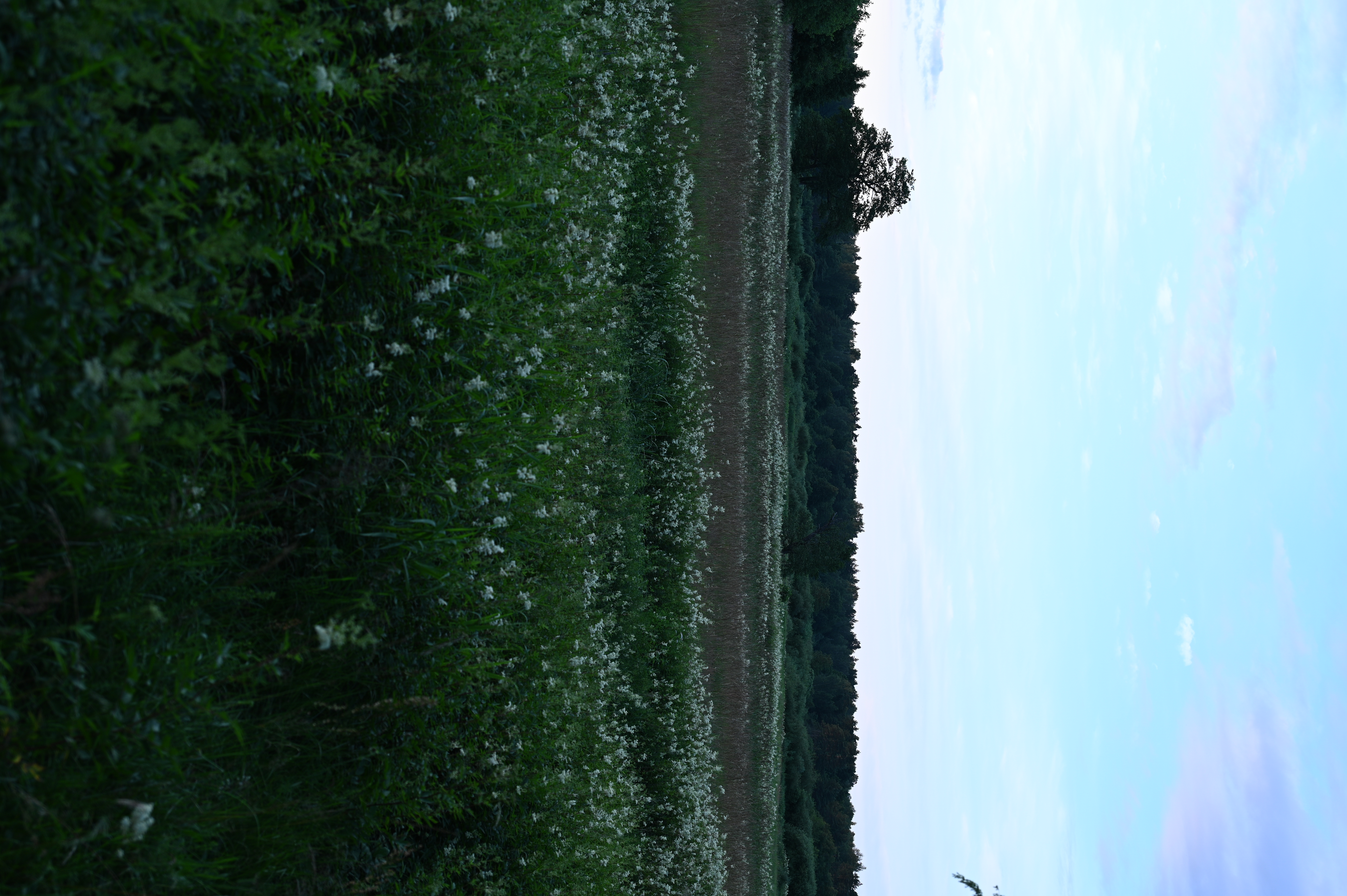 2025/07/09-14 - trip/DSC_0085.JPG